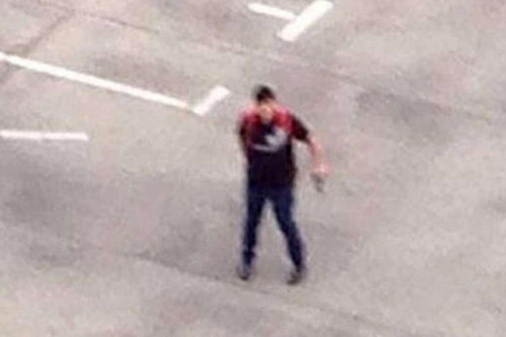 Ali David Sonboly is seen on the roof of the Munich shopping centre where he killed nine people. Photo: Twitter