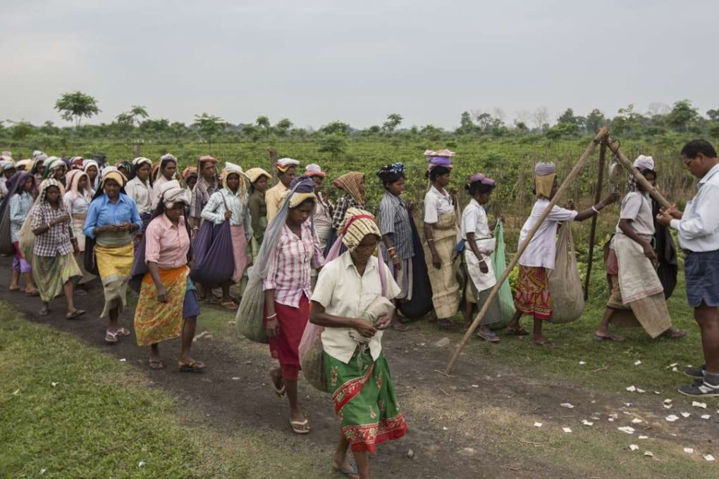 Pluckers at Mogulkata Tea Estate, in the Dooars region of West Bengal, eastern India, wait in line at a weighing station overseen by a manager. Pictures: Matilde Gattoni