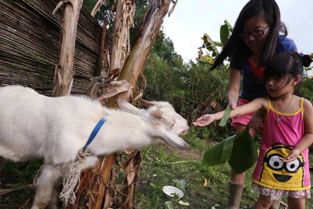 Janice Tse, with her daughter Wing Wing at the Hello Kitty Go Green Organic Farm, where they go most weekends. Photo: Jonathan Wong