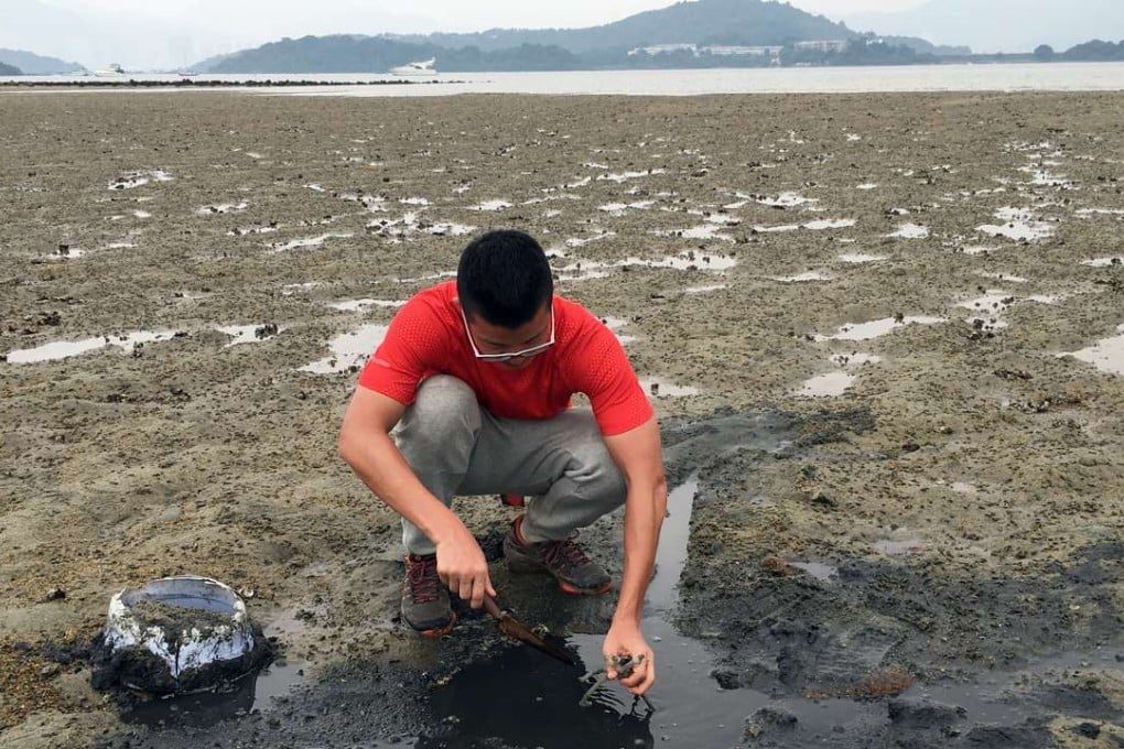 University of Hong Kong postgraduate researcher Liu Yi examines a testing point for groundwater in Ting Kok, Tai Po. Photo: SCMP Pictures