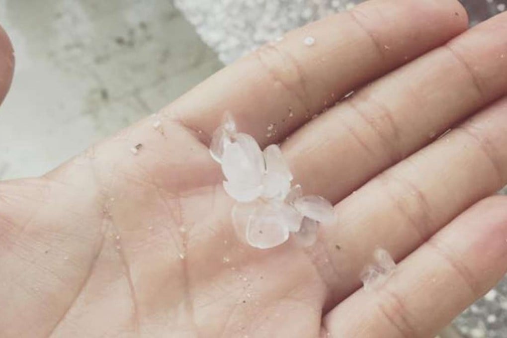 Temperatures fell 10 degrees in Tai Po after the storm. Photo: SCMP Pictures