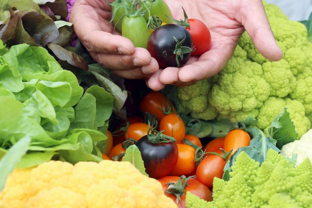 Competition is fierce in China’s fresh food industry, a sector estimated to be worth 2.5 trillion yuan last year. Photo: K. Y. Cheng