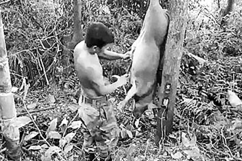 An image taken from one of the broadcasts. Photo: Oeeee.com