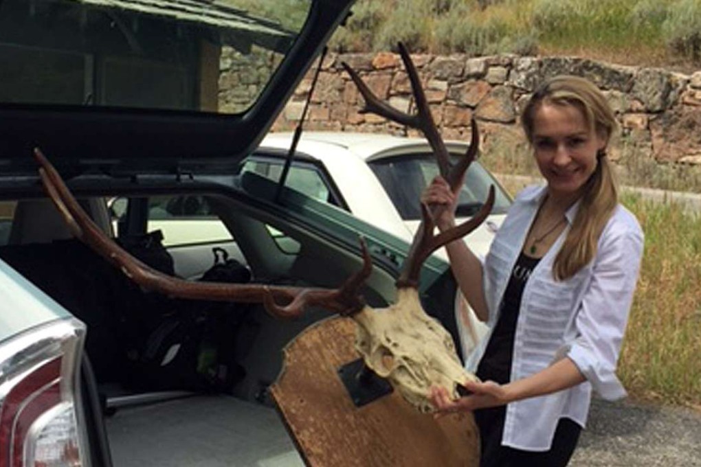 Anita Thompson pulls trophy antlers out of her car trunk while returning them to the former home of writer Ernest Hemingway in Ketchum, Idaho. Gonzo journalist Hunter S. Thompson so admired the set of trophy elk antlers when he visited the central Idaho home of Hemingway, that he stole them. More than half a century later, The Community Library has returned the antlers. Photo: AP