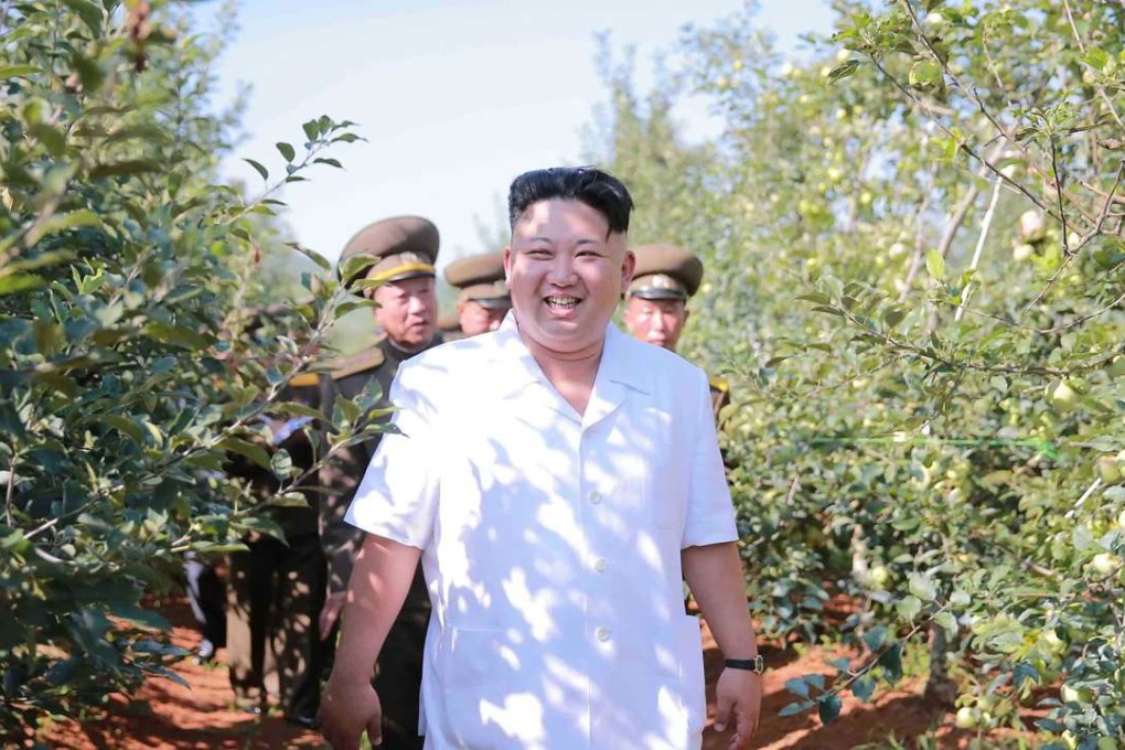 North Korean leader Kim Jong-un inspecting a fruit farm. Photo: AFP