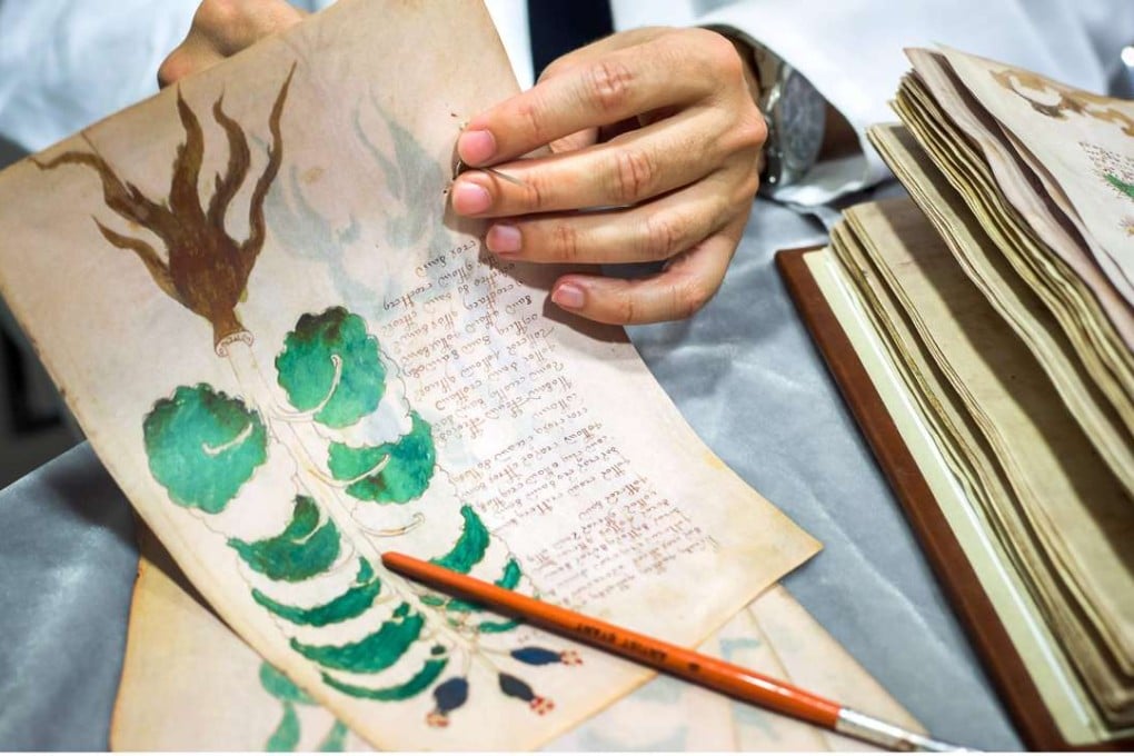 The precious document containing elegant writing and strange drawings of unidentified plants and naked women. Photo: AFP