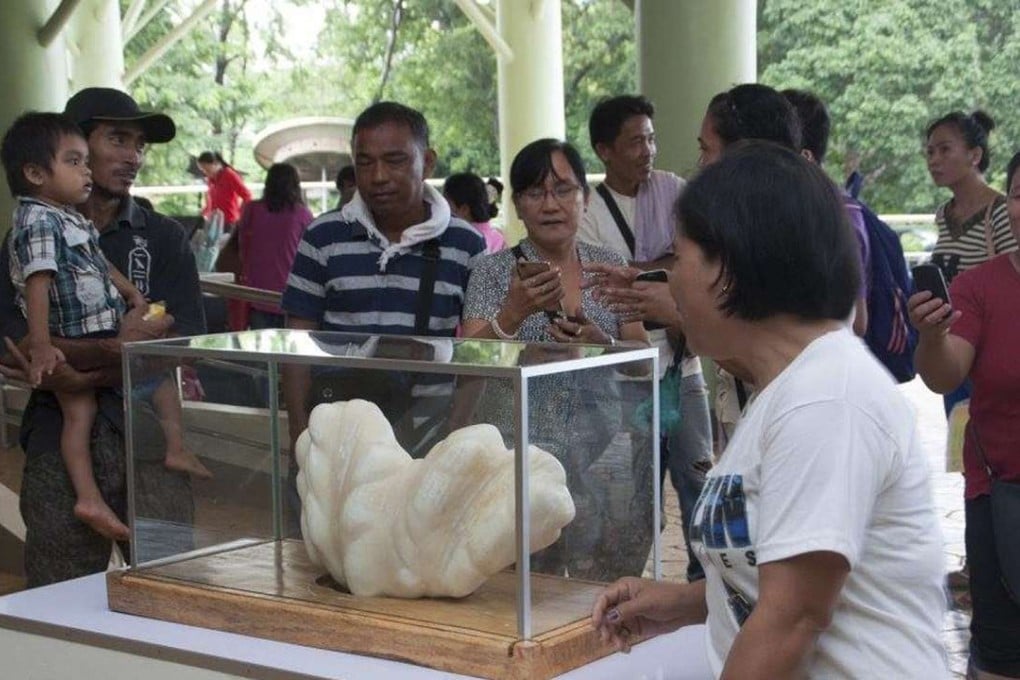 Filipino villagers view a giant pearl on display at the Puerto Princesa City Hall, in Puerto Pincesa, Palawan island, Philippines. Photo: EPA