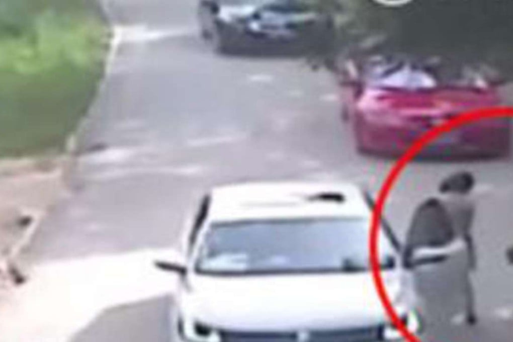 Surveillance footage shows a tiger attacking a woman in a Beijing wildlife park. Photo: SCMP Pictures