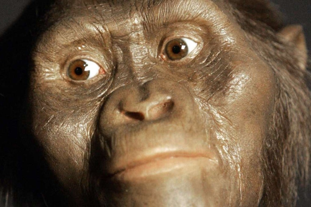 A three-dimensional model of the early human ancestor, Australopithecus afarensis, known as Lucy, on display at the Houston Museum of Natural Science. Photo: AP