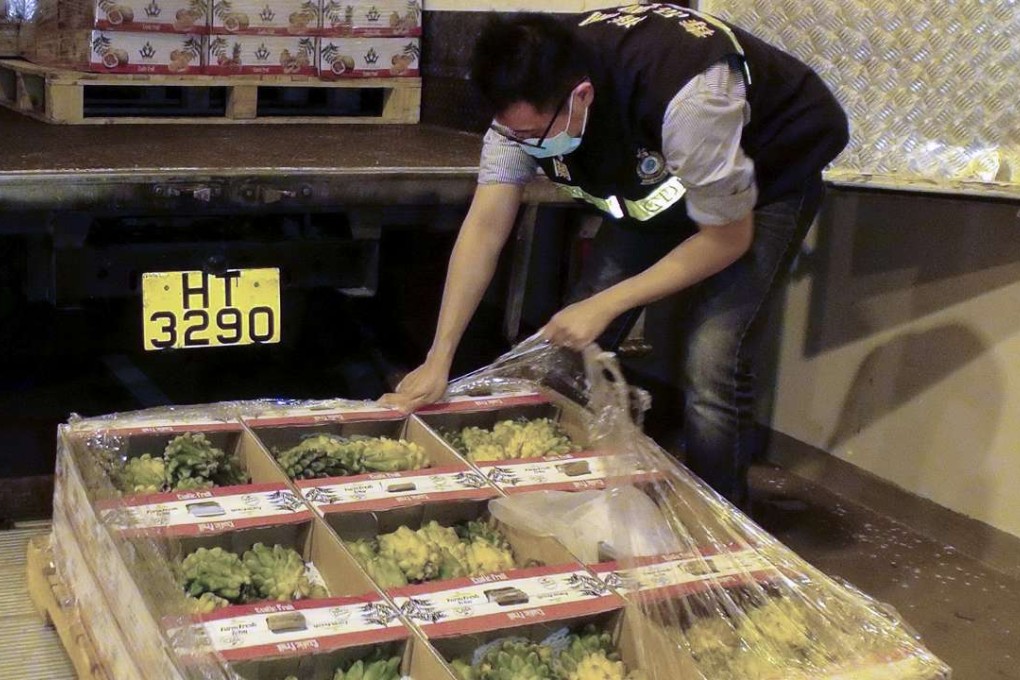 Police investigate a consignment of dragon fruits containing liquid cocaine at the airport's cargo terminal in July. Photo: SCMP Pictures