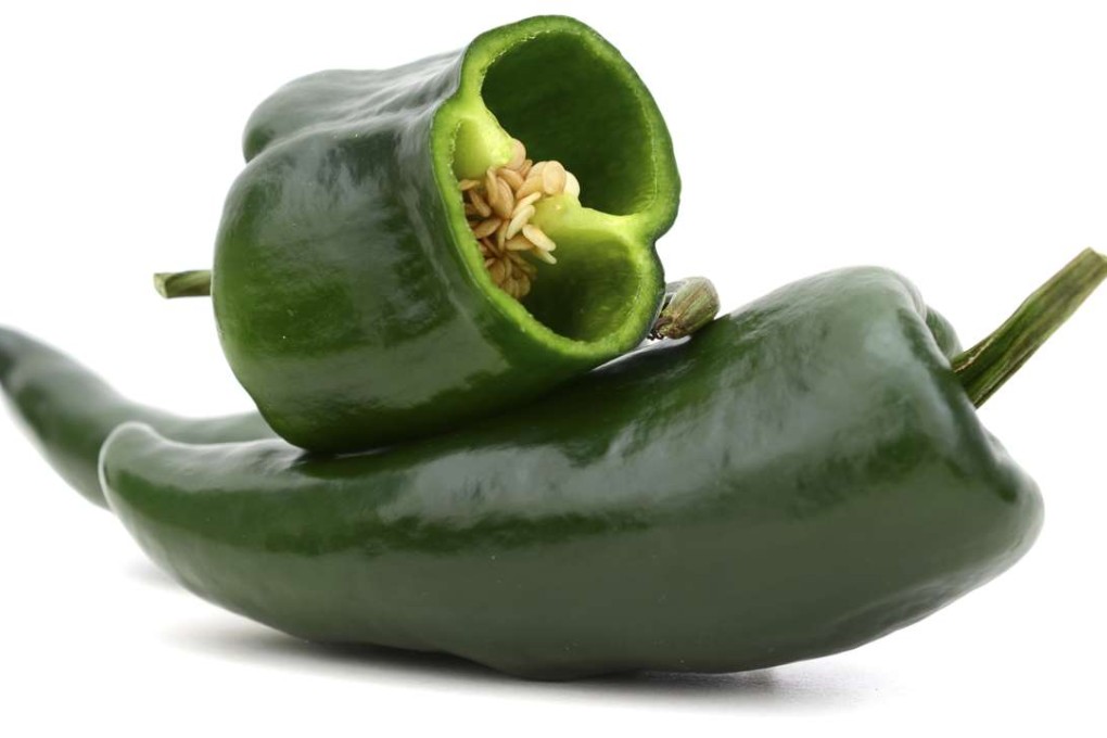 Poblano chillies