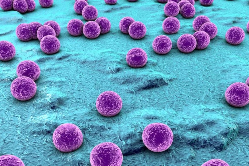 Microbes are among the simplest and oldest forms of life, found everywhere in vast numbers.