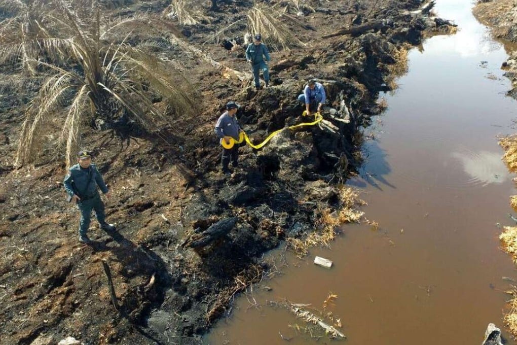 Indonesian officials rolling out caution tape at a burned out plantation in Rokan Hulu, Riau, Indonesia. Photo: EPA