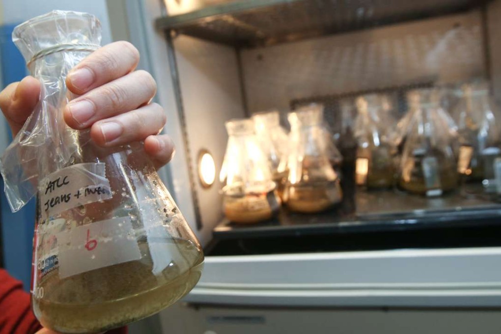 They’re not making beer. Instead, researchers are using a fermentation process to recycle blended textiles. Photo: David Wong