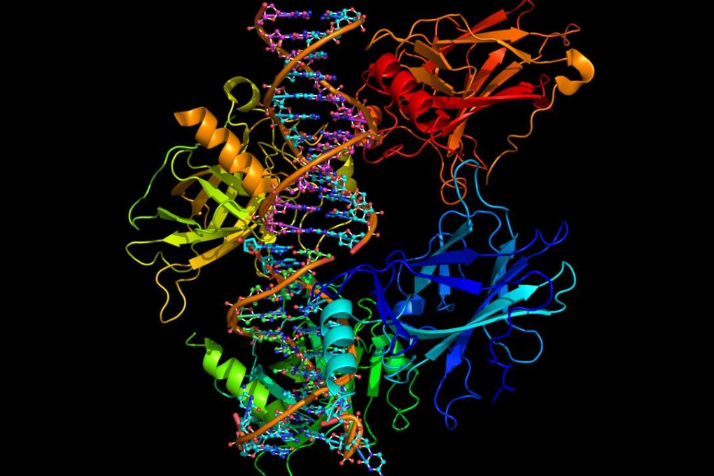 A depiction of protein molecules binding to a strand of DNA. For years, DNA testing has been the benchmark for forensic identification, but scientists now say a new tool based on proteins in human hair is on the horizon. Photo: Shutterstock