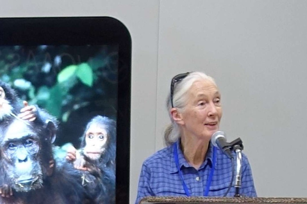 Primatologist Jane Goodall speaks at the recent IUCN World Conservation Congress in Honolulu. Photo: AFP