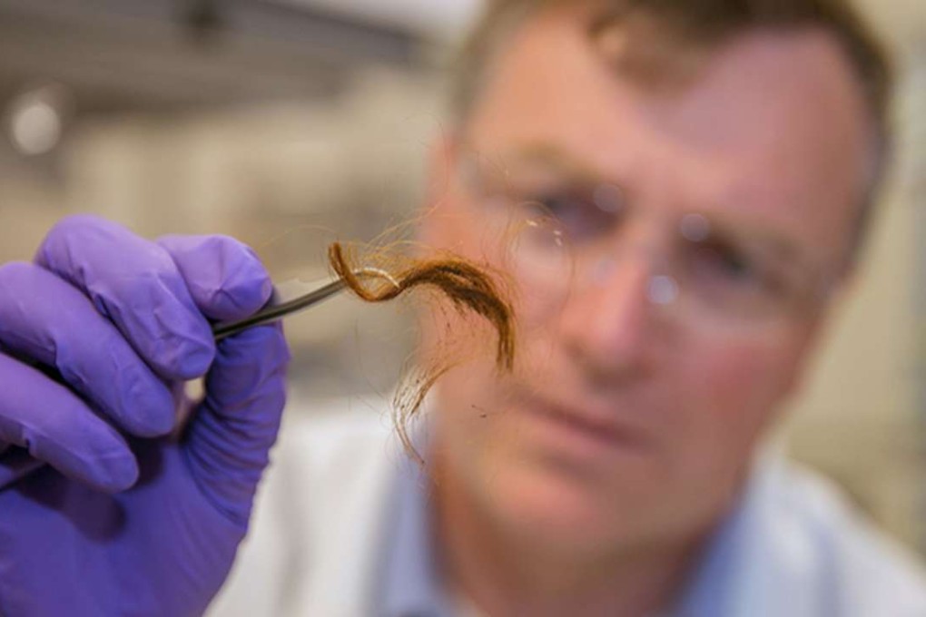 Glendon Parker, a biochemist with Lawrence Livermore National Laboratory's Forensic Science Center, examines a 250-year-old archaeological hair sample that has been analysed for human identification using protein markers from the hair. Researchers from LLNL and a Utah startup company have developed the first-ever biological identification method that exploits the information encoded in proteins of human hair. Photo: LLNL/TNS