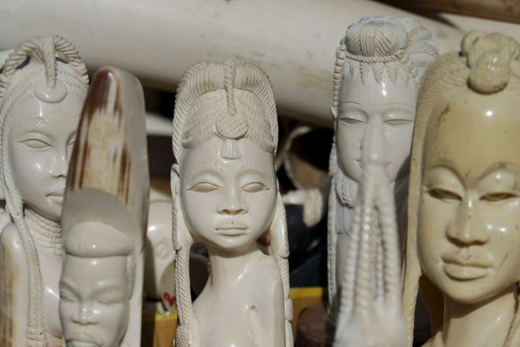 Confiscated ivory objects in Rome. Experts say that domestic ivory markets help fuel poaching by allowing traffickers a cover for their illegal imports and exports. File photo: EPA