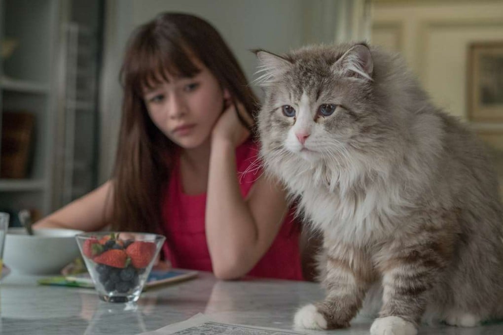Film review: Nine Lives – Kevin Spacey loses his mind in abysmal