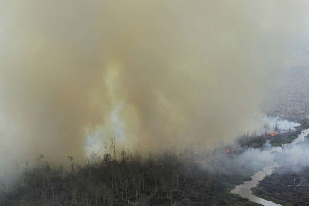 Smoke rising from a cleared forest land in Pelalawan Regency, Riau province in 2014. Photo: AFP