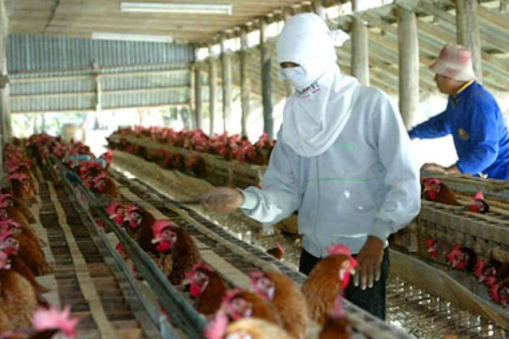 Thailand has been at the centre of scores of reports of slavery and human trafficking, with migrants from Myanmar suffering the worst exploitation. Photo: Chiang Rai Times