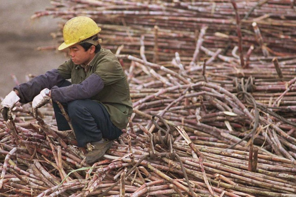 A Chinese worker sits on top of a pile of sugarcane at a refinery in Nanning, capital of Guangxi Zhuang Autonomous Region, China's major sugar producing area. Photo: Reuters
