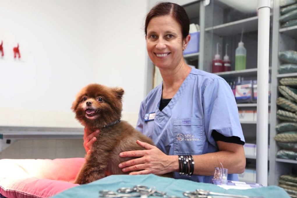City University wants to train a new generation of vets in Hong Kong. Photo: Nora Tam
