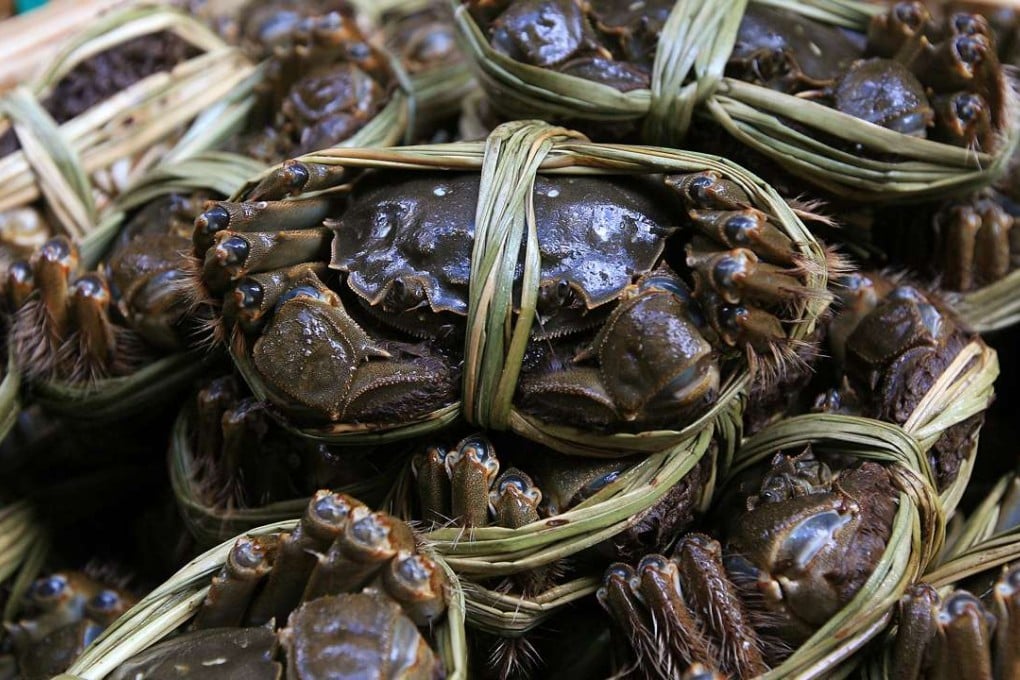 Genuine Chinese Yangcheng Lake hairy crabs are highly prized by food lovers. Photo: Edward Wong