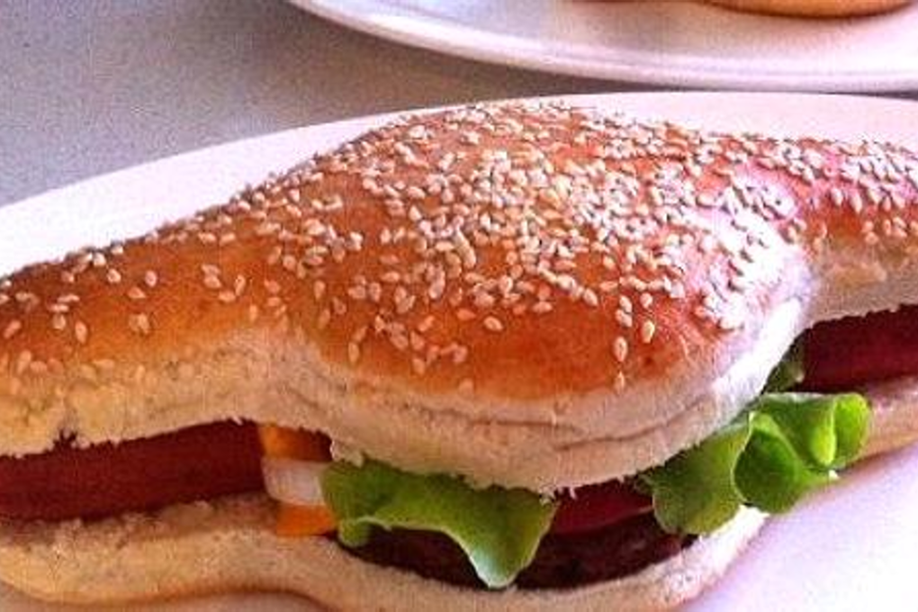 The Hamdog comes in a bun made in a special mold. Photo: Hamdog.com.au