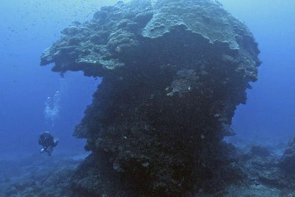 The world's largest single-entity, small-pores coral known to locals as “Big Mushroom” in the sea near Green Island off Taitung county in Taiwan has fallen. Photo AFP