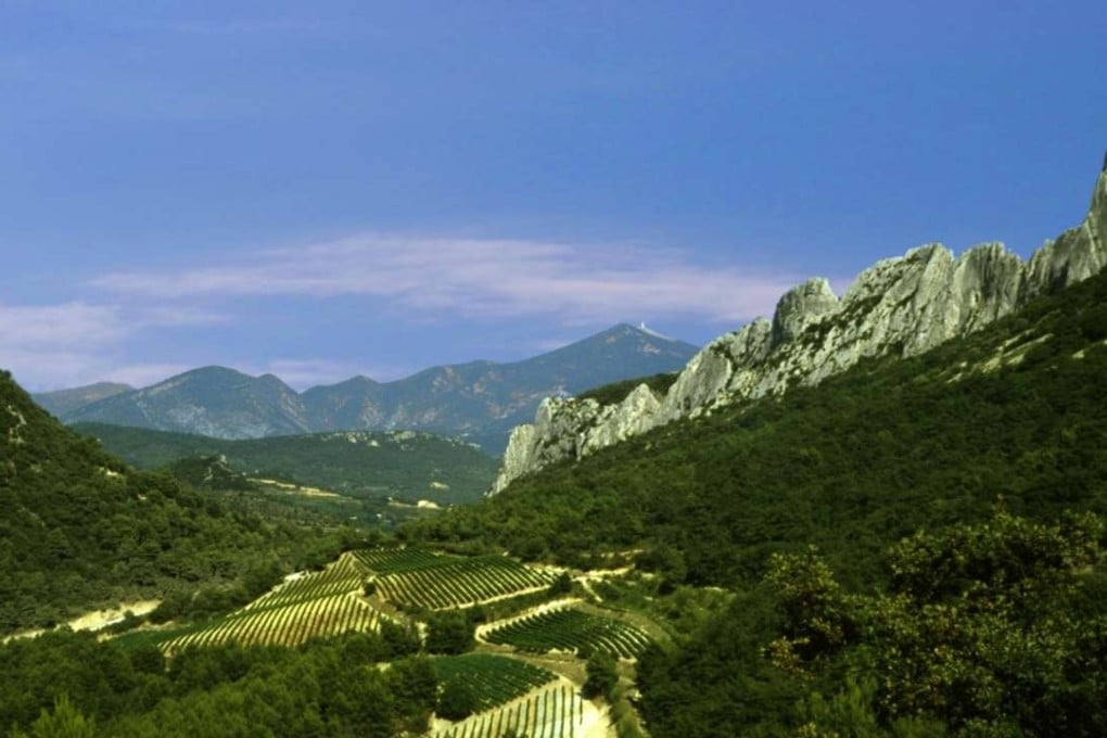 Vineyards in the Cotes du Rhône with Mont Ventoux in the background. Photo: Alamy