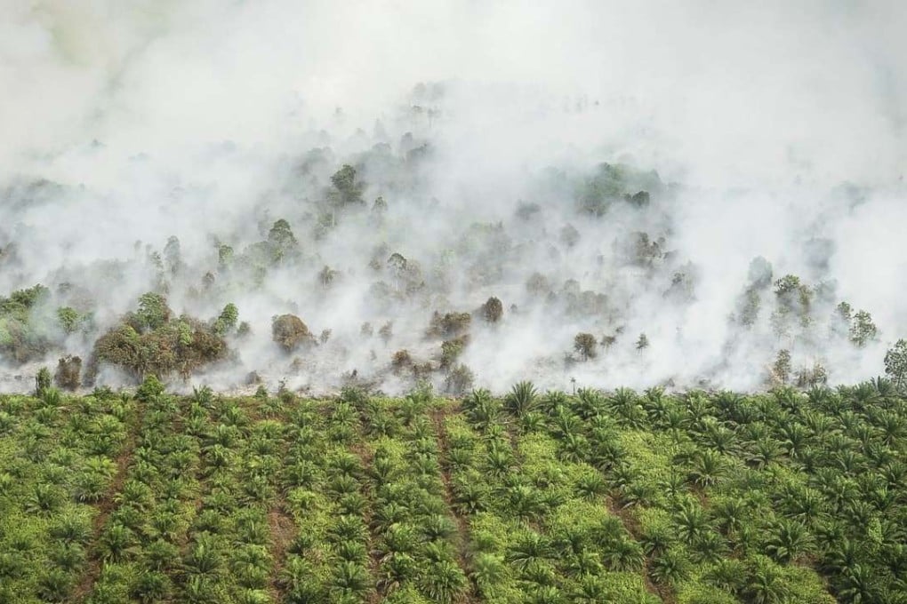 Indonesian forest fires last year may have caused more than 100,000 deaths, researchers said. Photo: EPA