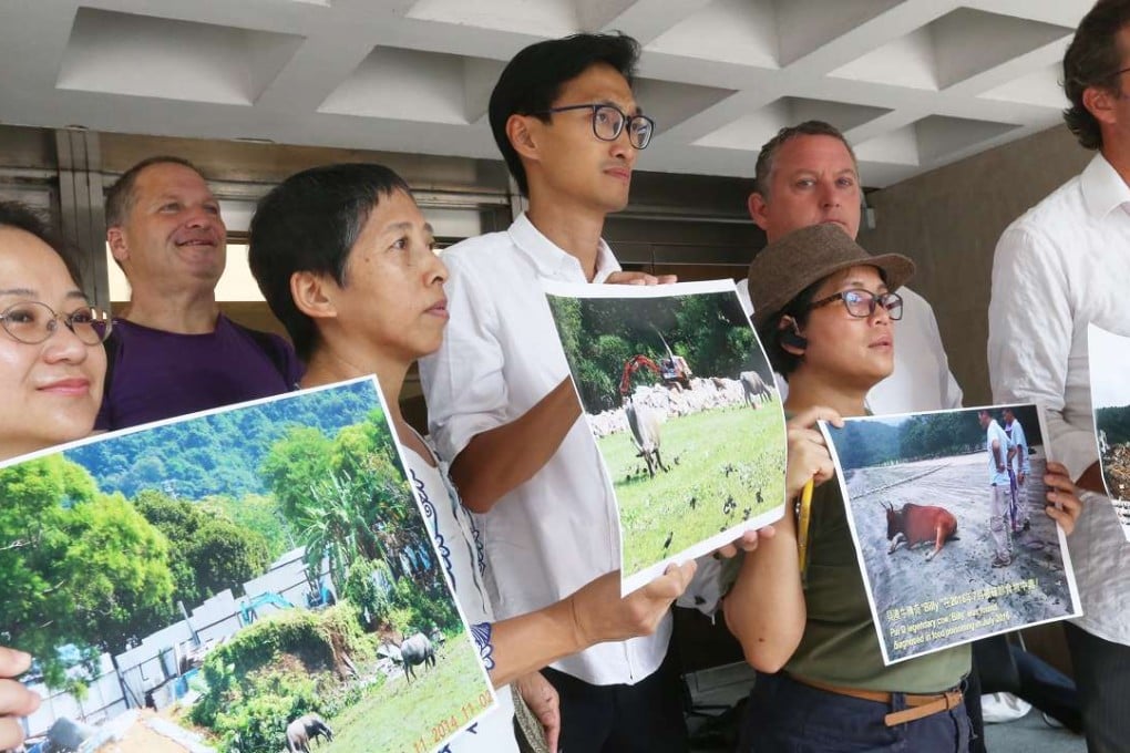 Newly elected lawmaker Eddie Chu Hoi-dick (centre) and members of the Protection of Animals Lantau South protest outside court on Tuesday. Photo: K. Y. Cheng