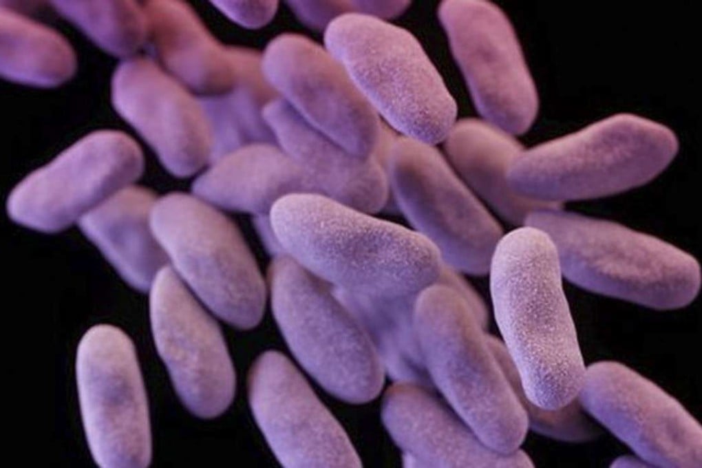 A three-dimensional computer-generated image of one group of antibiotic-resistant bacteria. Photo: AP