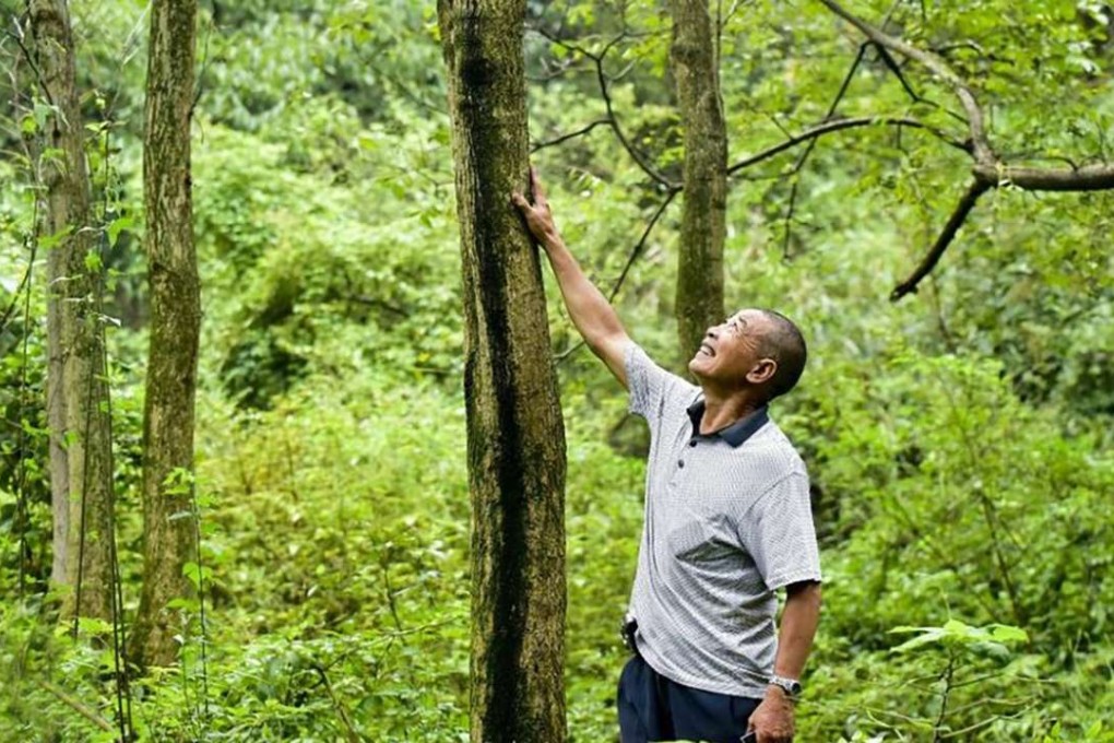 Liu Changgui has planted more than 200,000 eucommia trees in the past 30 years. Photo: SCMP Pictures