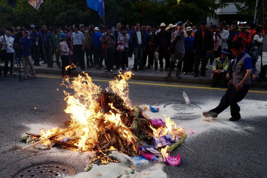 South Korean farmers burn sheaves of rice after marching against the government's agricultural policy in Seoul, demanding the government stop rice imports for meals and come up with measures to resolve the incident involving Baek Nam-ki, a farmer who has been in critical condition since November 2015 when he was knocked down by a police water cannon during a protest rally. Photo: EPA