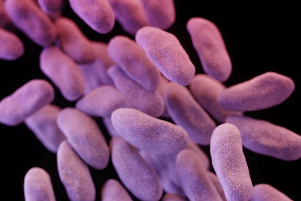 A 3-D computer-generated image of a group of antibiotic-resistant bacteria or “superbug”. Photo: AP/US Centers for Disease Control