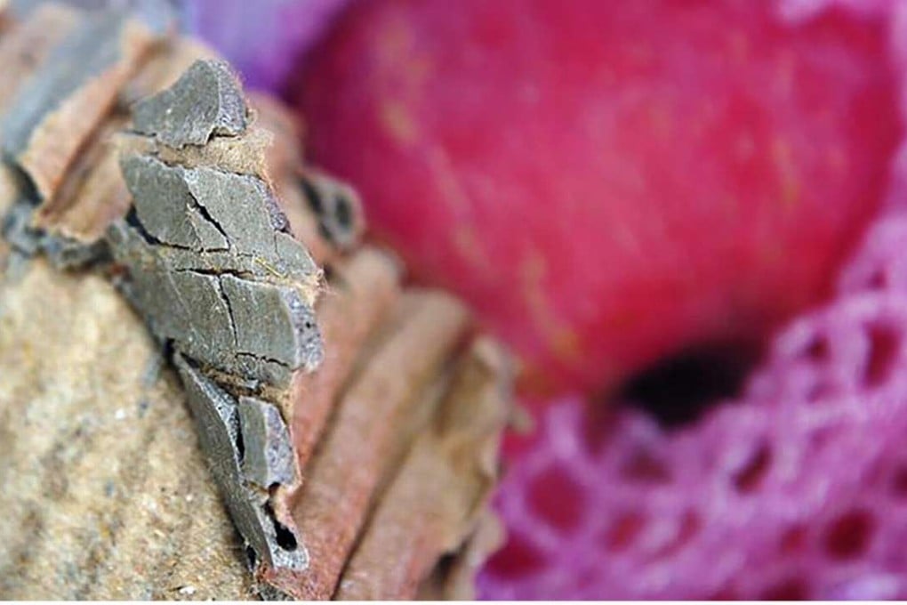 Part of the cardboard box reinforced with concrete. Photo: SCMP Images