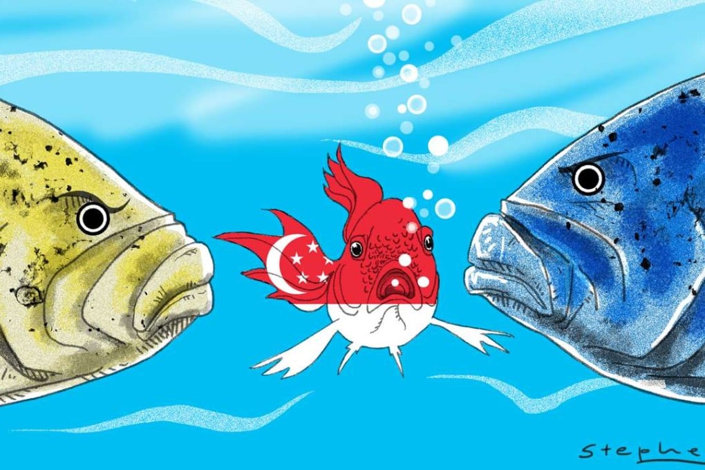 As a potentially vulnerable small state, it would be dangerous for Singapore to accept that any other country has the right to act as its “big brother”. Illustration: Craig Stephens