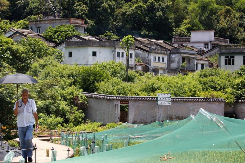 Tsang Ah-chat, executive member of the Sha Tau Kok District Rural Committee, walks past a farm at Lai Chi Wo Village. Photo: May Tse