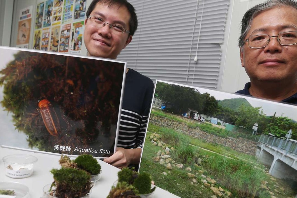 Firefly expert Mark Mak Siu-fung (left) and engineer Keith Tam Kit-fan from the Drainage Services Department hail the success of the firefly project in Kwan Tei River. Photo: K. Y. Cheng