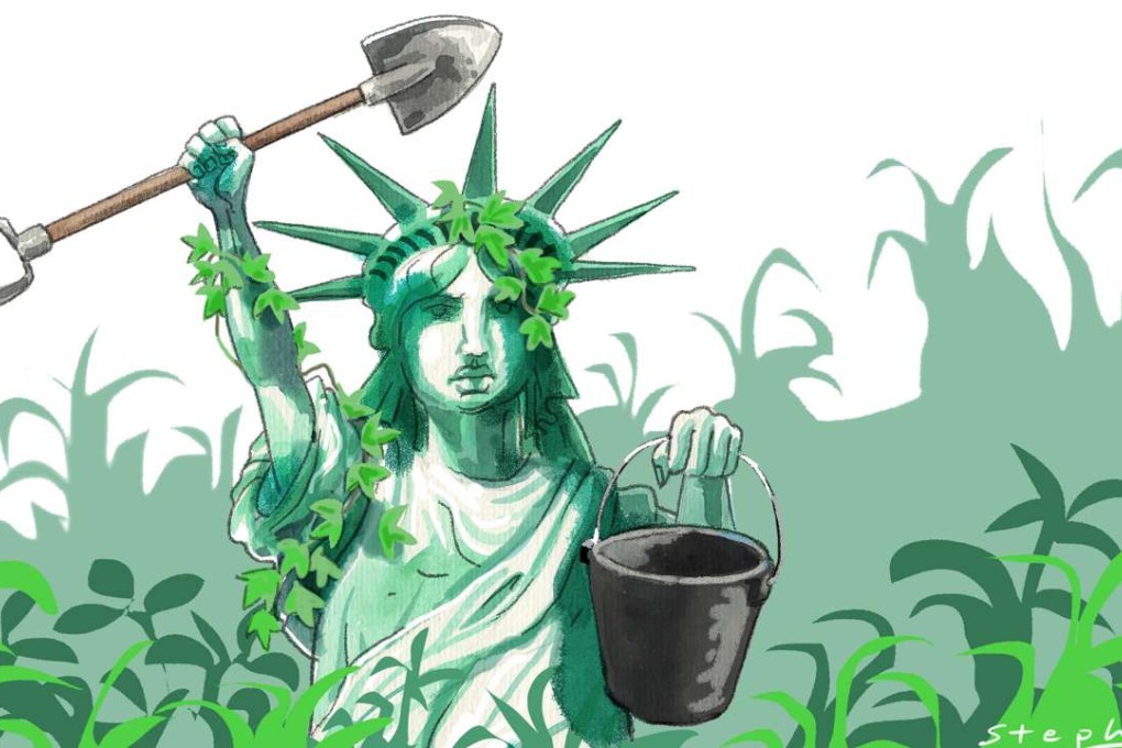 Americans tended to the honourable, if pedestrian, chore of pulling out destructive weeds, ministering to our allies’ spatial and nutrient requirements, and sprinkled around garden-variety plant food. Illustration: Craig Stephens