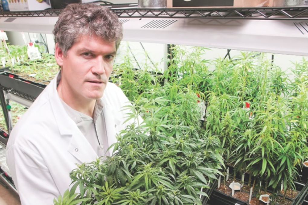 University of British Columbia adjunct professor Jonathan Page: the Anandia Labs founder co-led the first genome sequencing of cannabis sativa. Photo: Chung Chow