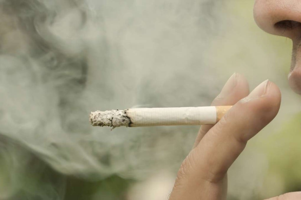 Under the proposed order, provinces and towns will be asked to issue ordinances to enforce the ban, stipulating penalties for violators. File photo: Shutterstock