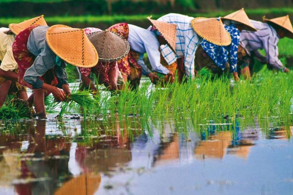 Vietnam has struggled through decades of grinding poverty but its economy is moving ahead.