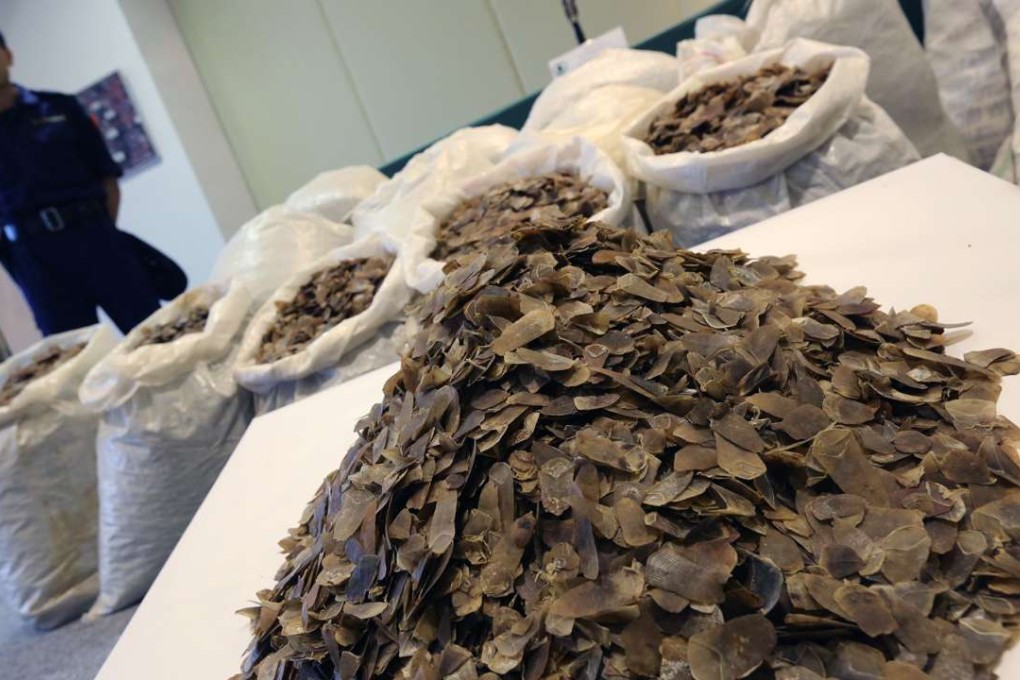 A Hong Kong customs officer stands guard over pangolin scales valued at about HK$12 million seized from cargo at Kwai Chung on June 16, 2014. Photo: Felix Wong