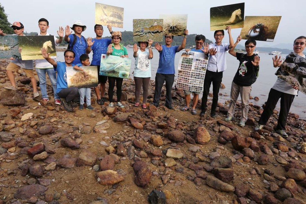 The Save Lung Mei Alliance protests on Sunday against the artificial beach project and the forced eviction of a store owner. Photo: Jonathan Wong