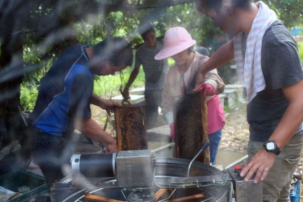 Beekeeper Jiang Hwan-bin (left) leads his family to collect honey inside a tent in Hsinchu, northern Taiwan. Photo: AFP