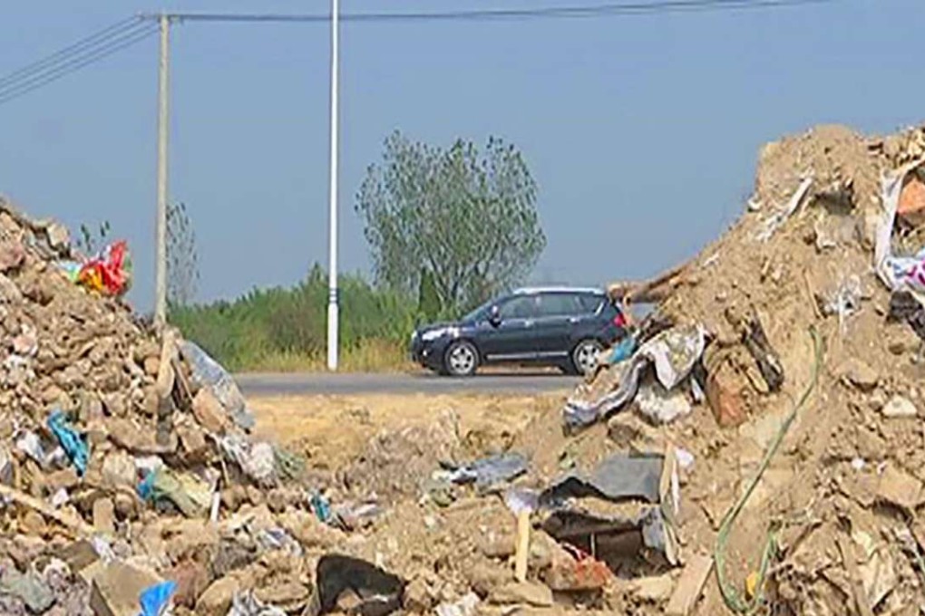 Work on creating the wetland park in Nanjing, Jiangsu province, started in 2013. Photo: SCMP Pictures