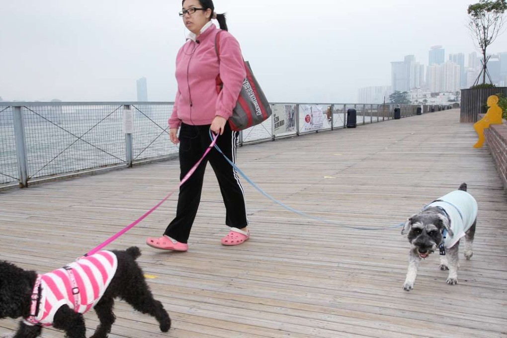 The Wan Chai pet walk was very popular. Photo: Edward Wong